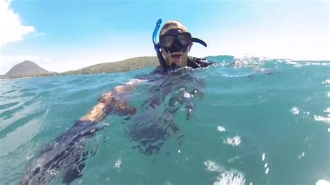 Spearfishing Oahu Hawaii East Side Youtube