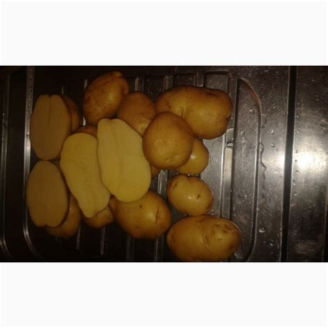 Купим картофель сорт Гала, Королева Анна - Брянская обл — AgroRU.net