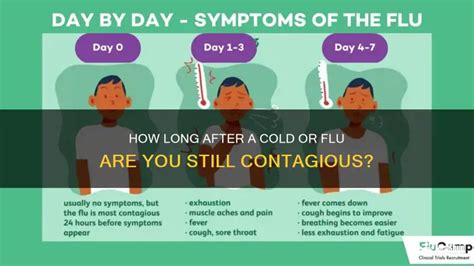 How Long After A Cold Or Flu Are You Still Contagious? | MedShun