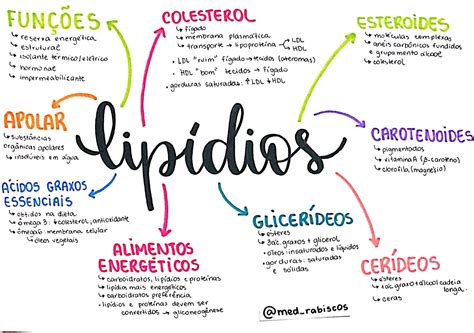 Mapa Mental De Bioquimica Fdplearn