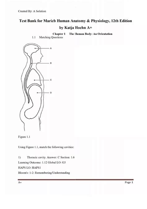 Human Anatomy Physiology Marieb 9th Edition Test Bank 5