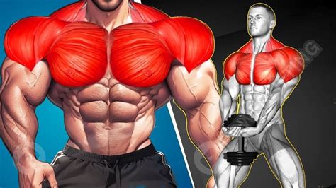 6 Best Effective Exercises To Build A Perfect Chest Chest Workout At Gym Youtube