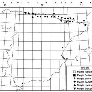 Mapa De Distribuci N Del G Nero Platyla En La Pen Nsula Ib Rica