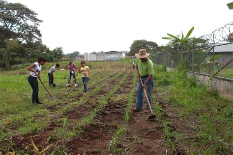 Agropecuaria Cu Les Son Las Labores Culturales