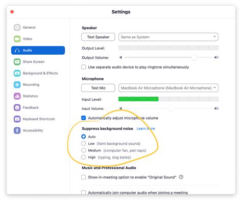 How To Reduce Background Noise During Video Calls