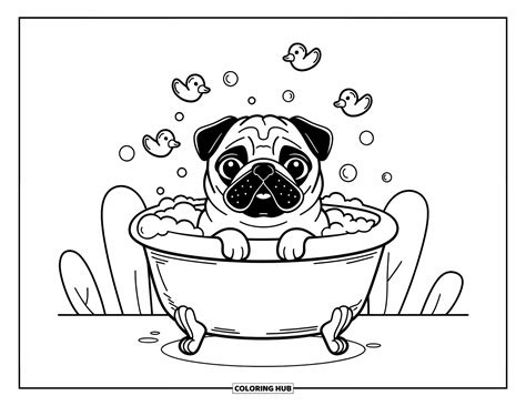 100+ Desenhos de pug para colorir para crianças e adultos (Grátis)