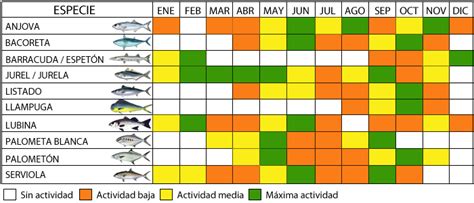 Calendario De Pesca Por Especies Pesca A Spinning Tecnicas De Pesca