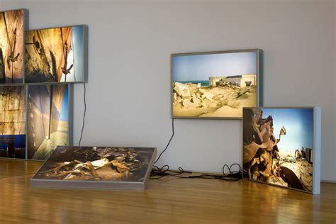 POEM: SWALLOW THE POISON BY RACHEL MARSH - DLWP, The De La Warr