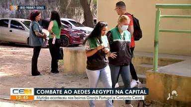 Cetv Edi O Fortaleza Mutir O De Combate Ao Aedes Aegypti