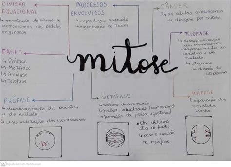 Mitose Bullet Journal Mitosis Mental Map Maps 14580 The Best Porn Website