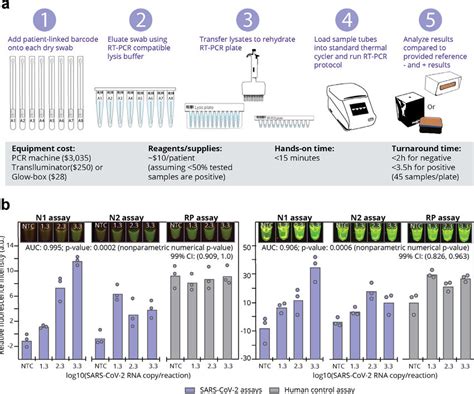 Workflow For High Throughput End Point Rt Pcr Covid Assay For