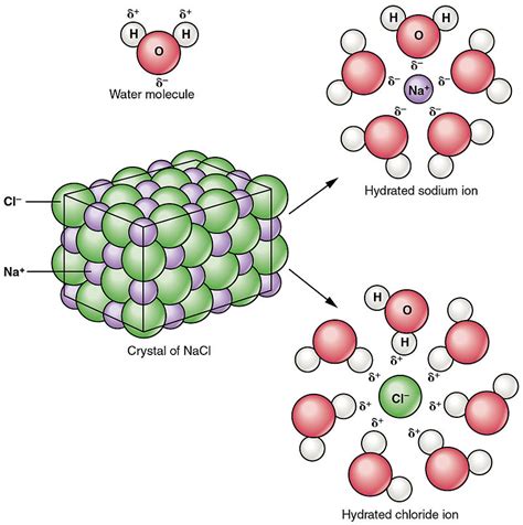 Difference Between Sodium Chloride And Sodium Nitrate Compare The