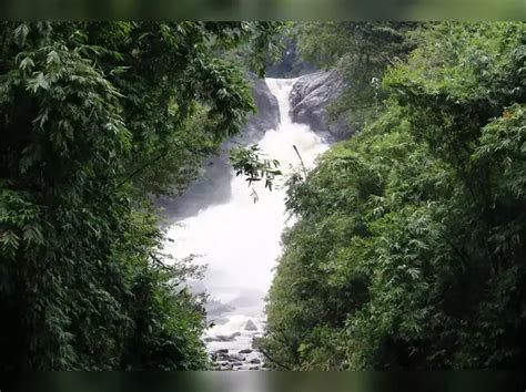 stunning waterfalls  visit  india  summer dudhsagar falls