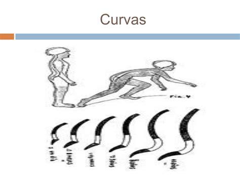 Biomecánica El raquis pptx 1 kinesiologia PPT Descarga Gratuita