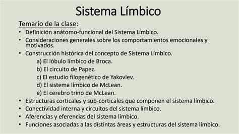 SOLUTION Neurofisiologia Sistema L Mbico Studypool