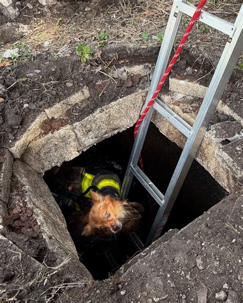 AI will soon make every single miami dade docket search much faster 20