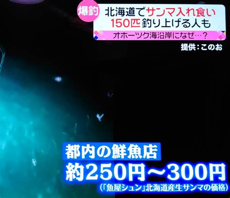 今や高級魚のサンマがオホーツク海沿岸部で入れ食い状態 岡ちゃんの釣り馬鹿日記