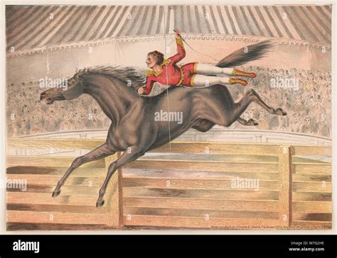 Circus Performer Riding A Vaulting Horse Bareback Lccn2003655700 Stock