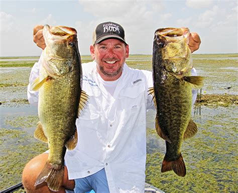 Largemouth Bass Fishing Florida Everglades Bass Fishing Adventures