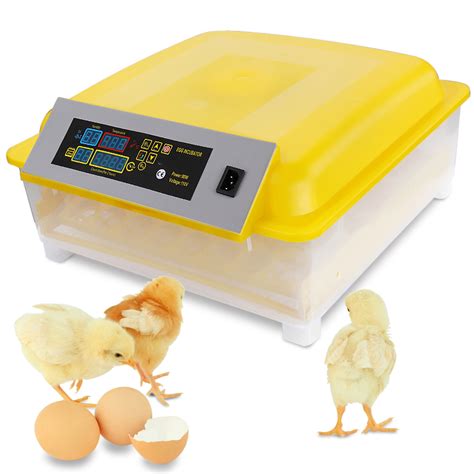 Digital Clear Egg Incubator Hatcher Temperature Control Automatic