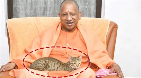 Gorakhpur Cm Yogi Adityanath Share Picture Of Him With Cat On His Lap