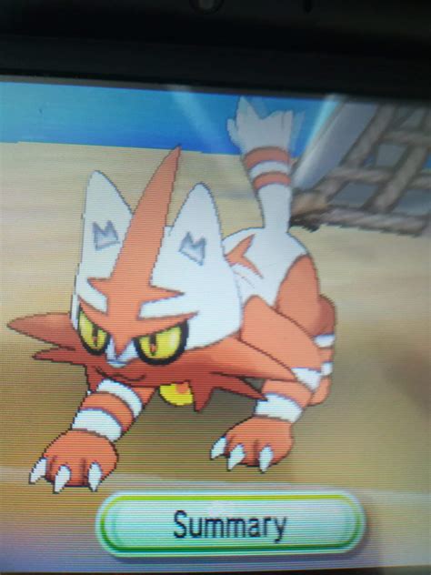 Shiny Torracat Pokémon Amino