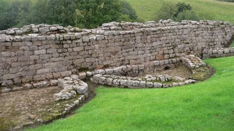 The Year Old Roman Phallus May Be The Oldest Known Wooden Dildo