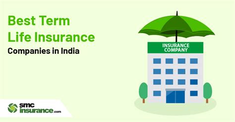 Best Term Insurance Companies In India 2024