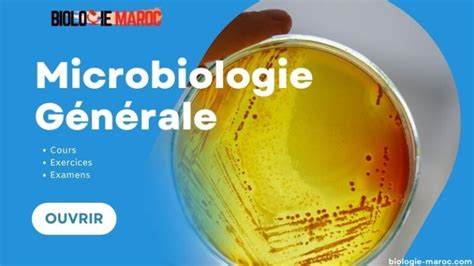 Microbiologie G N Rale Cours Td Tp Examens Corrig S