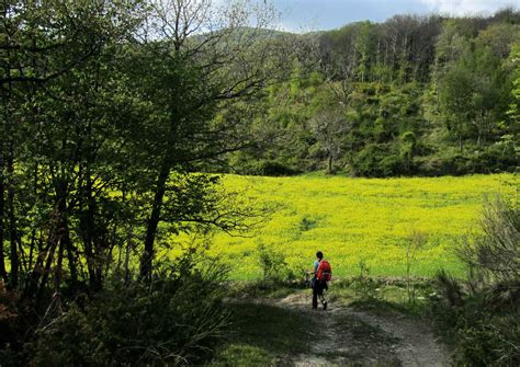 Il Cammino Di Sant Olav Dove Cadde Un Re E Nacque 6
