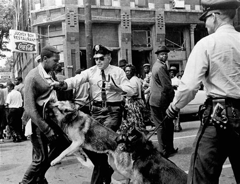 Police dogs bite thousands each year. No database tracks them.