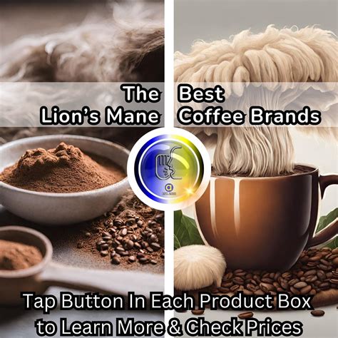 Better Extraction Methods Will Create The Best Lion's Mane Coffee Next Year - RYZE Superfoods