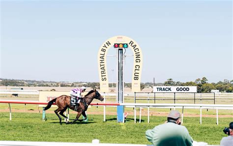Strathalbyn Cup 2026 Field Tips Betting Odds Results
