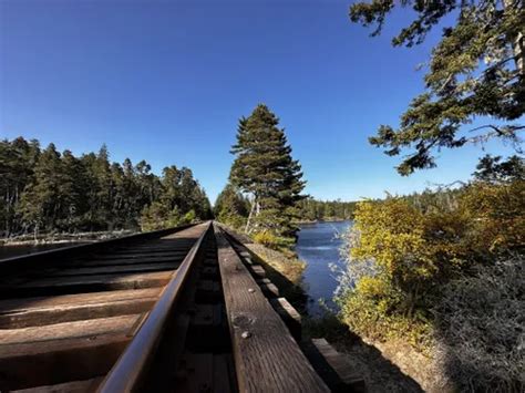 10 Best Hikes And Trails In Oregon Dunes National Recreation Area
