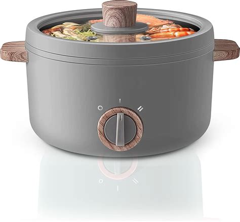 Buy Multifunction Nonstick Electric Hot Pot L Electric Fondue Pot With Lid Handle Nozaya