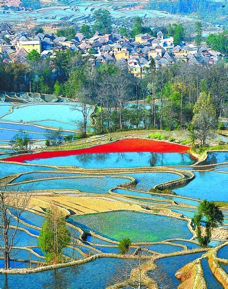红河哈尼梯田文化景观新浪新闻