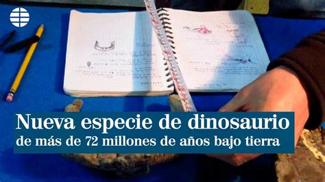 Descubren Nueva Especie De Dinosaurio Que Llevaba Más De 72 Millones De Años Bajo Tierra El