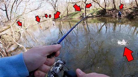 Trout Fishing The Most Pressured Spots On The Creek Youtube