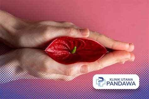 Bentuk Vagina Perawan Ciri Ciri Yang Perlu Dikenali Wanita Klinik Utama Pandawa
