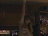 O Astro Nude Pics Page