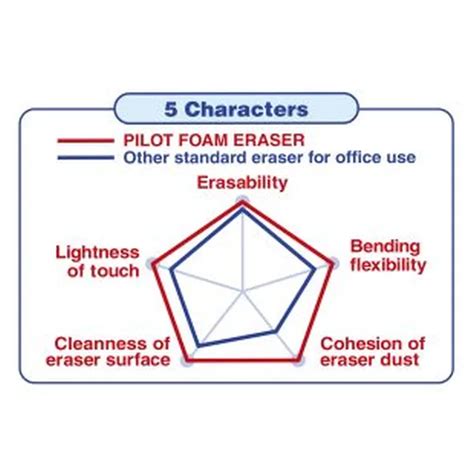 Pilot EE-F20 Foam Eraser - Large