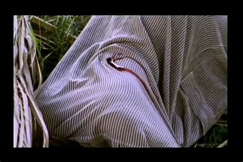 Lina Romay Porn Videos 2024 Porn Star Sex Scenes XHamster