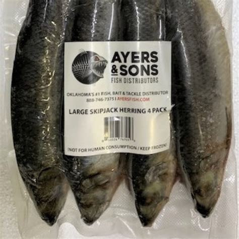 Frozen Skipjack Herring Large 4 Per Pack Case Of 4 Packs Ayers Fish