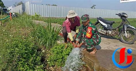 Genjot Pompanisasi Babinsa Koramil 0815 Dlanggu Dampingi Poktan Airi