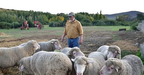 trump bars aid  south africa offers asylum  afrikaner refugees