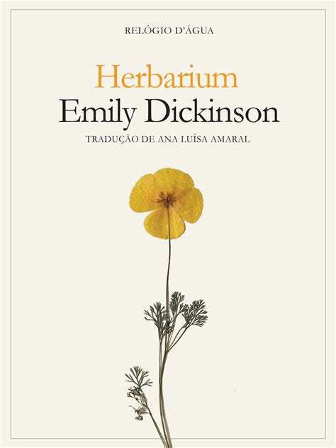 “Herbarium”: as flores de Emily Dickinson colhidas por Ana Luísa Amaral