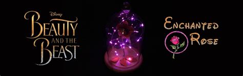 enchanted rose  earth design