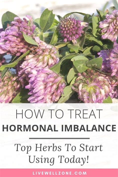 Herbs That Balance Hormones That You Re Probably Not Using