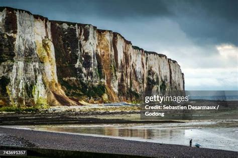 665 Aval Stock Photos, High-Res Pictures, and Images - Getty Images