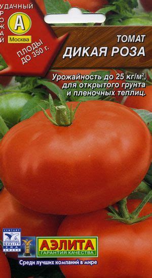 томаты, помидоры Дикая Роза сорт семена, фото, описание, характеристики